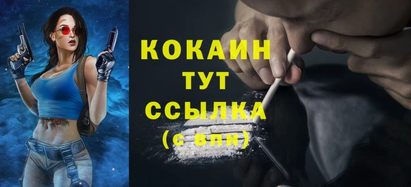 сатива Белоозёрский