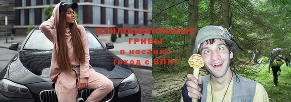 ешки Белокуриха