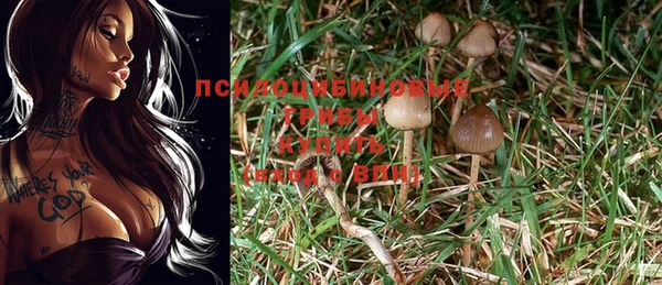 ешки Белокуриха