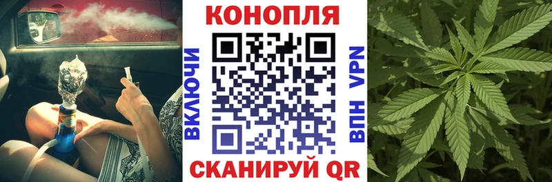 Бошки марихуана марихуана где купить наркоту Минусинск